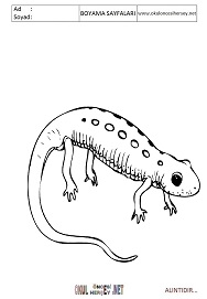 Semender boyama sayfaları